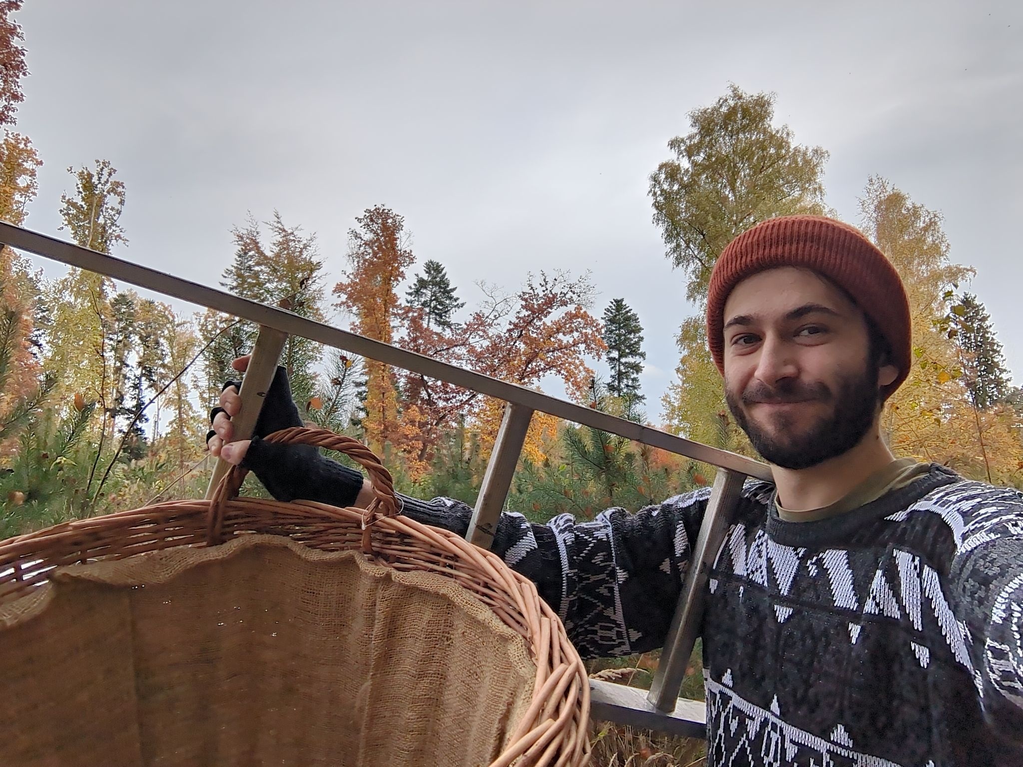 Kvantová mechanika: pravidla našeho podivného světa